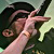 icon_afrikarib_10_070
