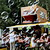 icon_afrikarib_10_219