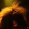 Icon_Index_Woodstock_08