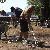 icon_woodstock_09_247