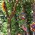 icon_woodstock_09_271