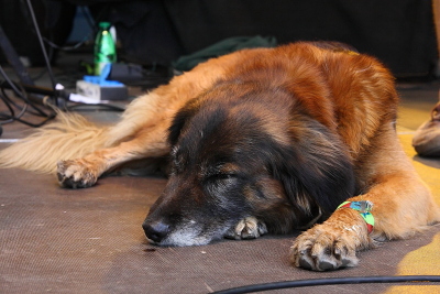 woodstock_09_128