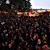 icon_woodstock_10_033