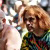 icon_woodstock_10_088