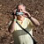 icon_woodstock_10_233