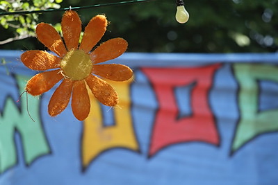 woodstock_10_255