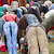 icon_woodstock_11_162