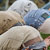 icon_woodstock_11_166
