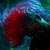 icon_wudzdog_13_280