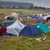 icon_wudzdog_13_347