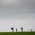 icon_wudzdog_13_381