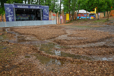 festival08/wudzdog_13