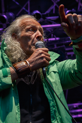 festival08/wudzdog_13
