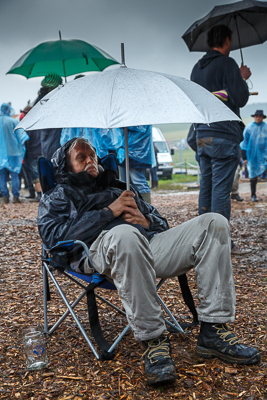 festival08/wudzdog_13