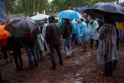 festival08/wudzdog_13