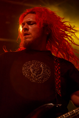 festival08/wudzdog_13