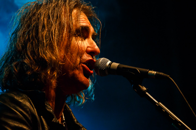 festival08/wudzdog_13