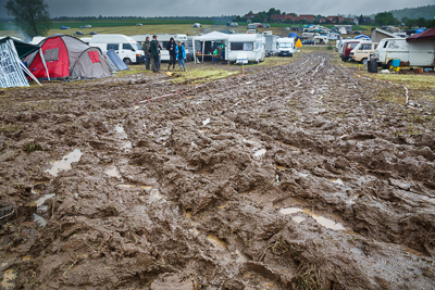 festival08/wudzdog_13