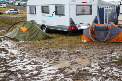 festival08/wudzdog_13