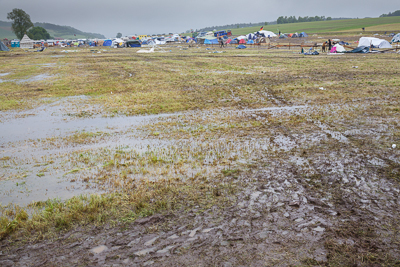 festival08/wudzdog_13