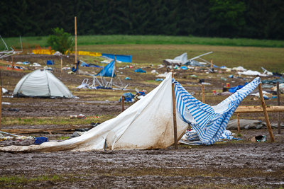festival08/wudzdog_13